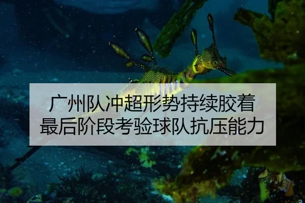 广州队冲超形势持续胶着 最后阶段考验球队抗压能力 - aitiyu