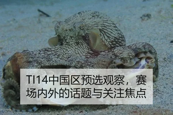 TI14中国区预选观察，赛场内外的话题与关注焦点